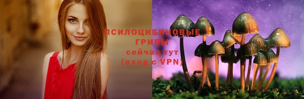 ешки Алзамай