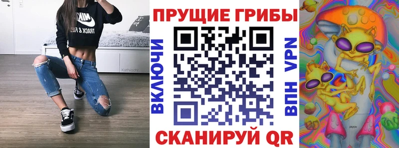 Галлюциногенные грибы Psilocybe  Курлово 